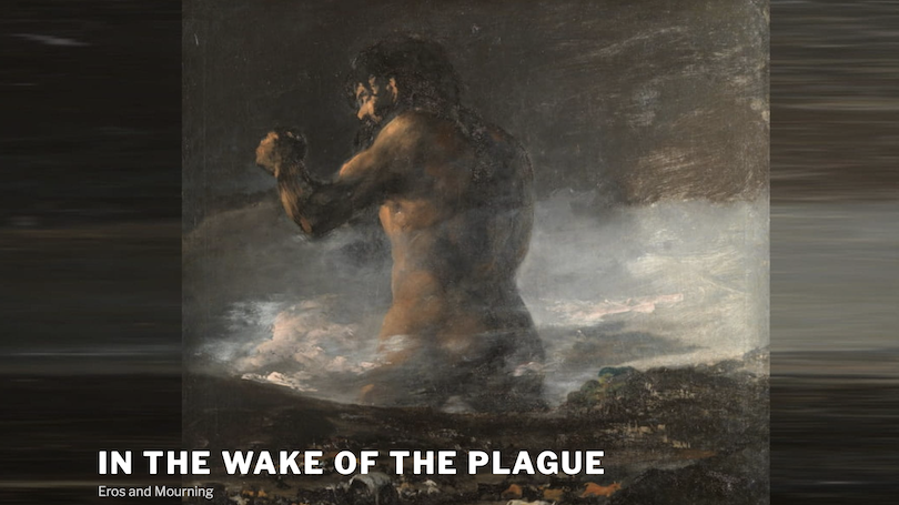 Goya's Plague Goya's "Plague"